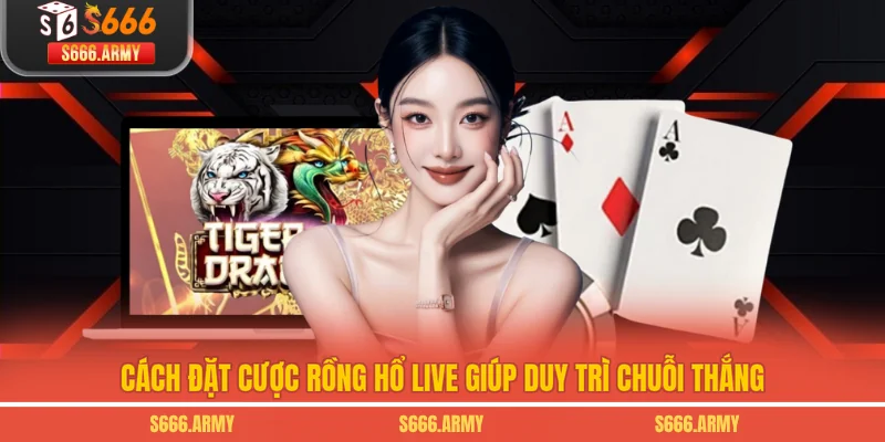 Cách đặt cược Rồng Hổ live giúp duy trì chuỗi thắng