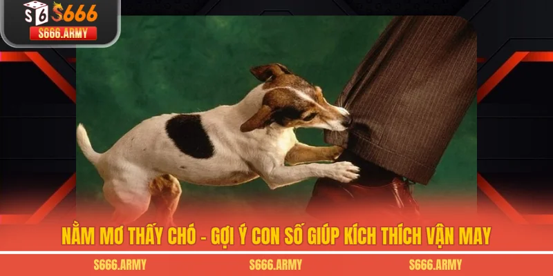 Nằm Mơ Thấy Chó - Gợi Ý Con Số Giúp Kích Thích Vận May