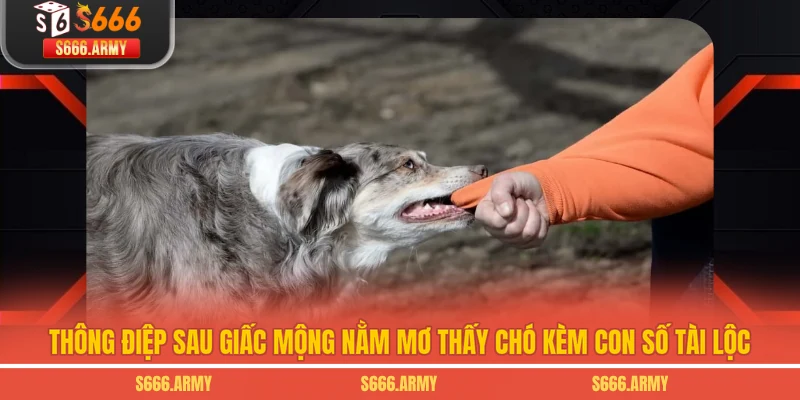 Thông điệp sau giấc mộng nằm mơ thấy chó kèm con số tài lộc