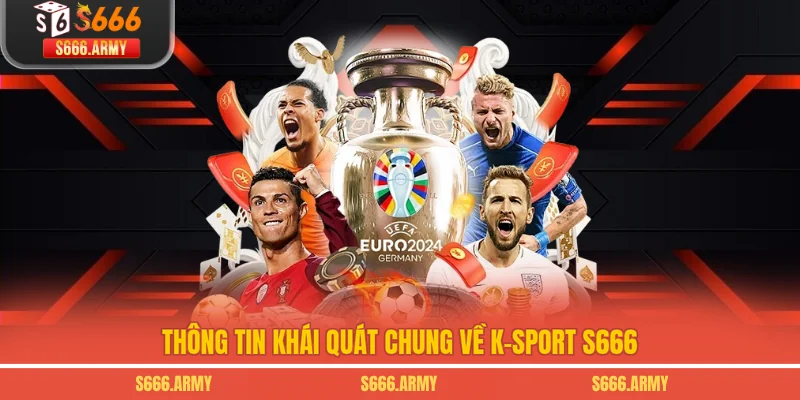 Thông tin khái quát chung về K-Sport S666
