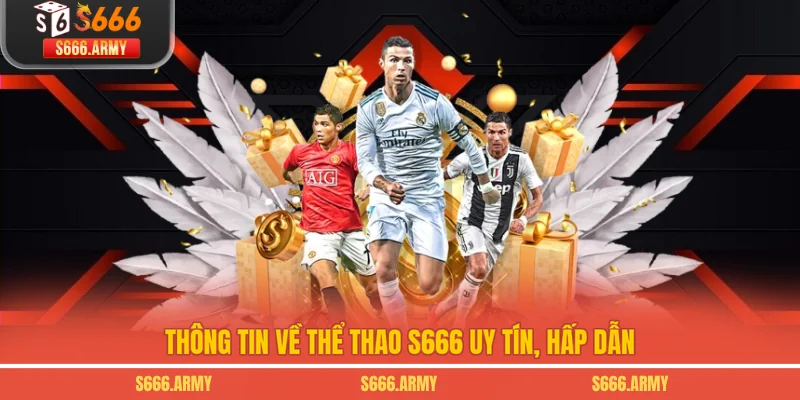 Thông tin về Thể thao S666 uy tín, hấp dẫn